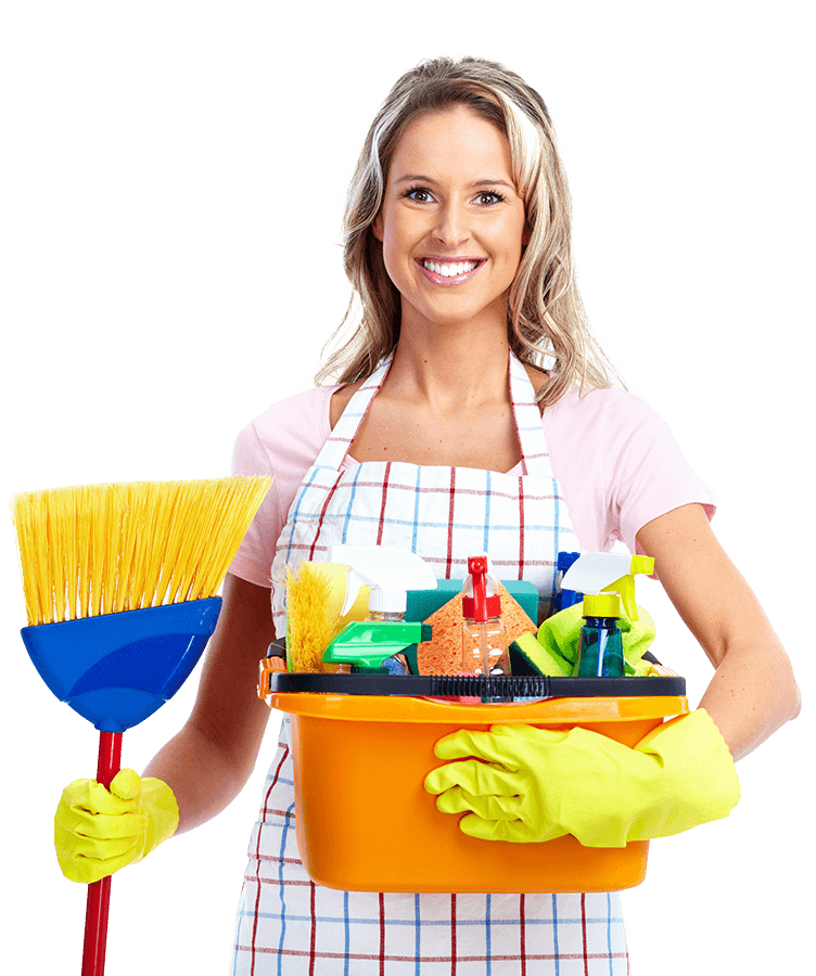 cleaning-woman-img
